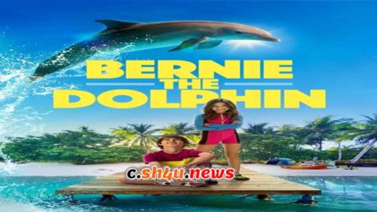 فيلم Bernie the Dolphin 2018 مترجم - HD