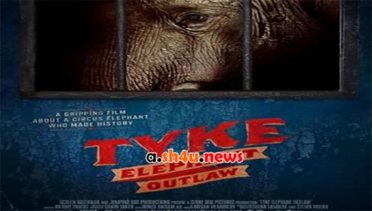 فيلم Tyke Elephant Outlaw 2015 مترجم - HD