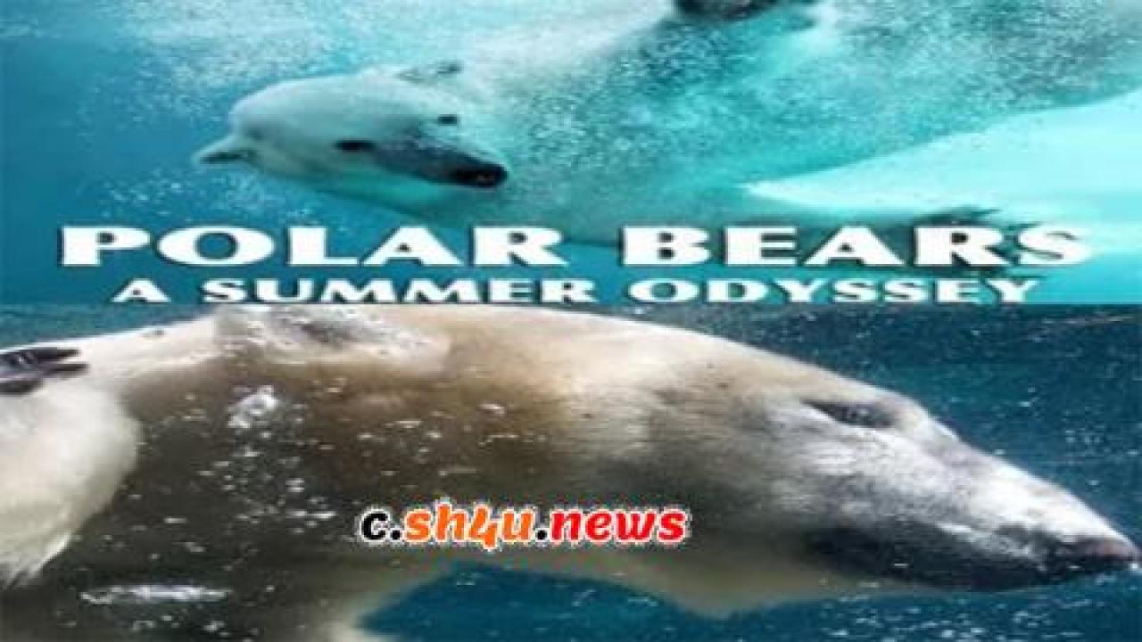 فيلم Polar Bears: A Summer Odyssey 2012 مترجم - HD