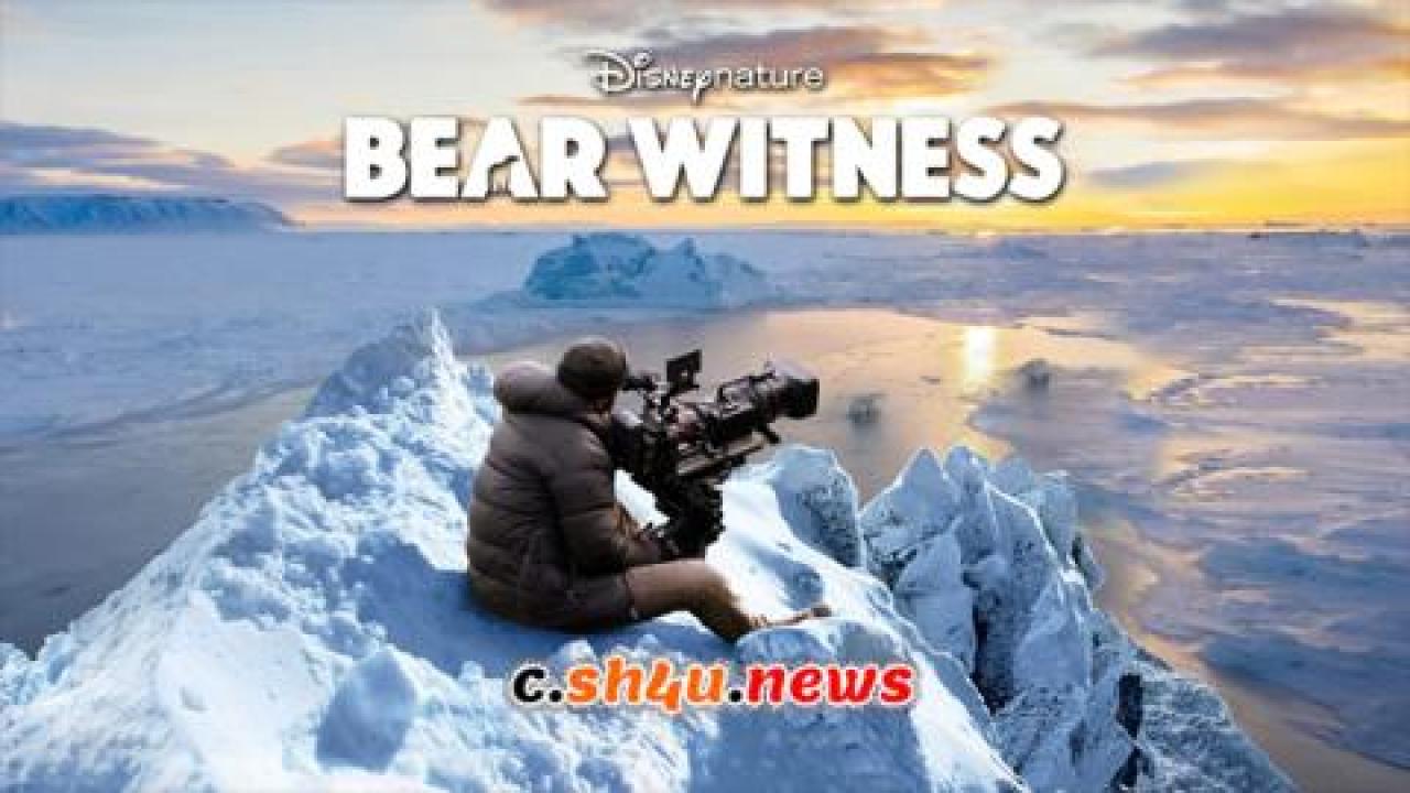 فيلم Bear witness 2022 مترجم - HD
