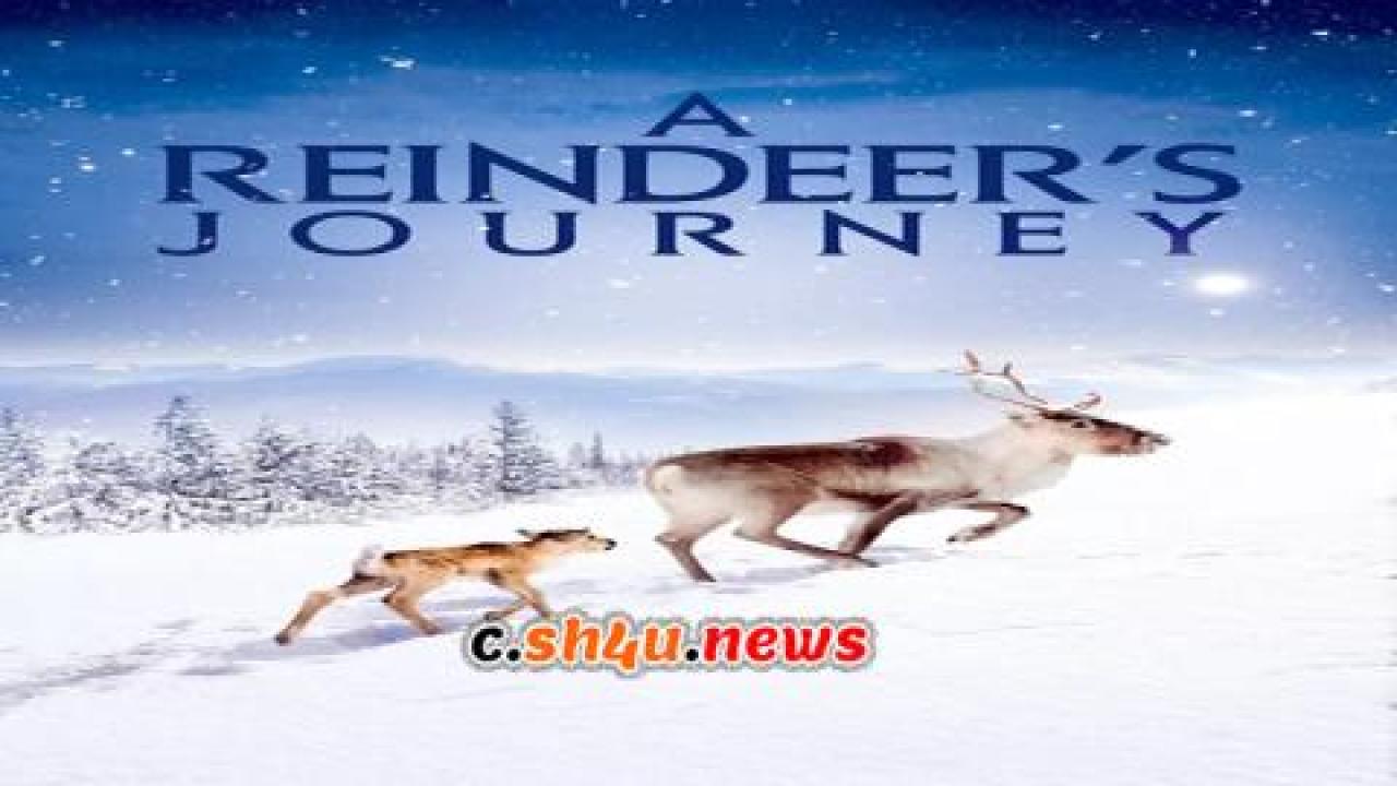 فيلم A Reindeer's Journey 2018 مترجم - HD