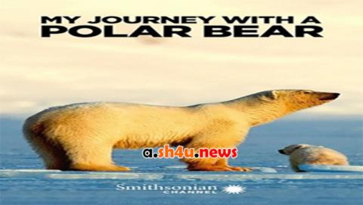 فيلم My Journey with a Polar Bear 2019 مترجم - HD