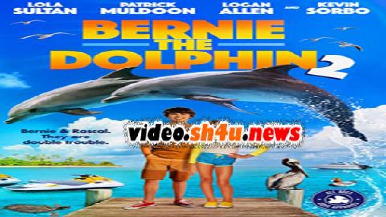 فيلم Bernie the Dolphin 2 2019 مترجم - HD