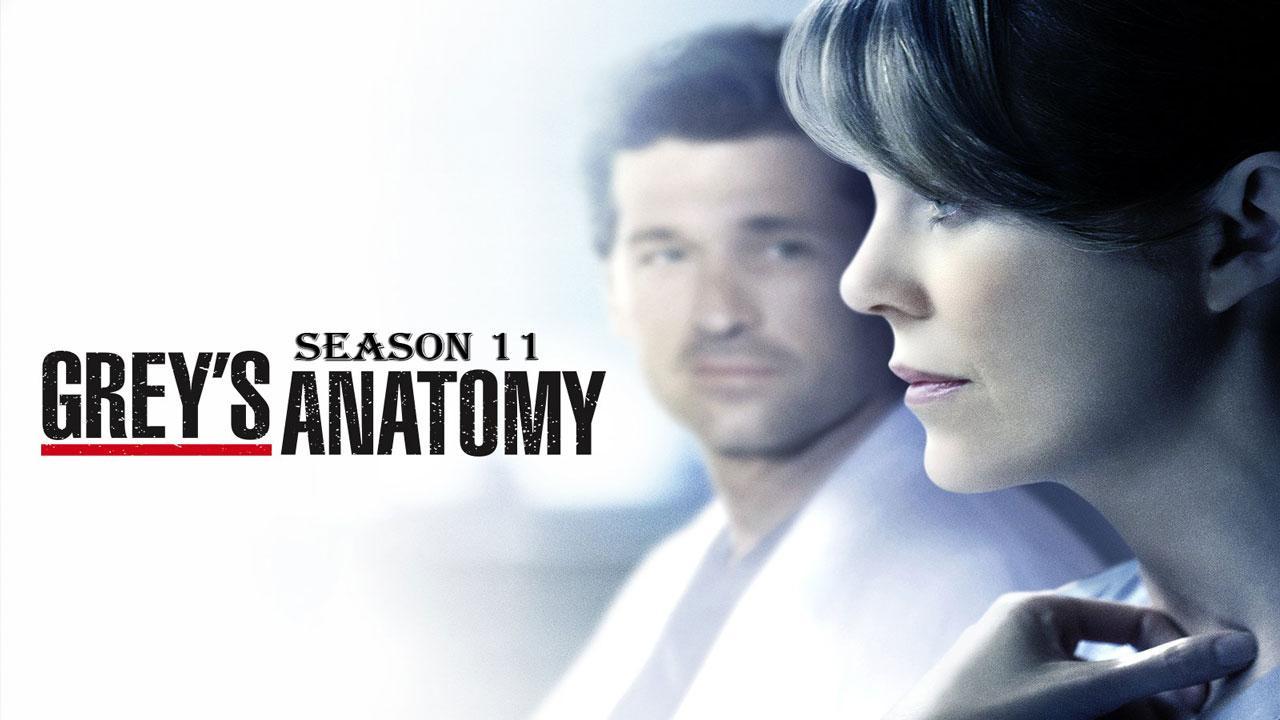 Grey's Anatomy S11