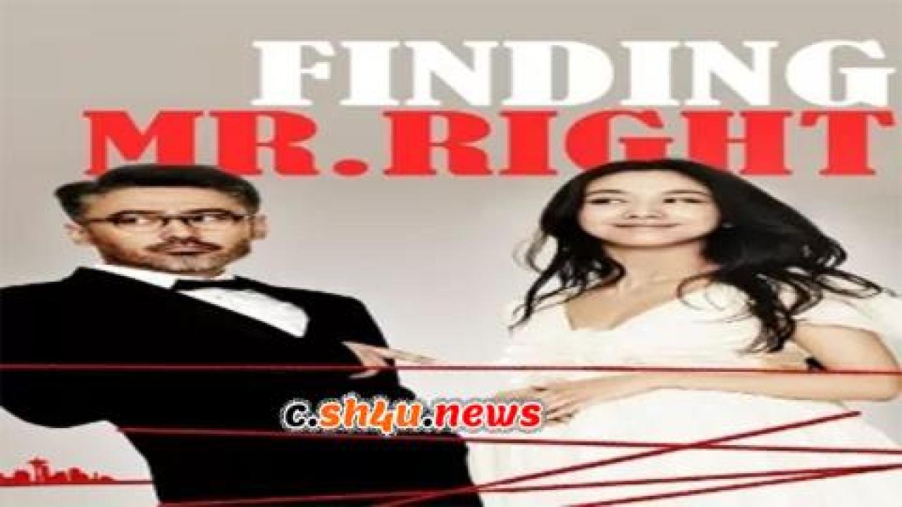 فيلم Finding Mr. Right 2013 مترجم - HD