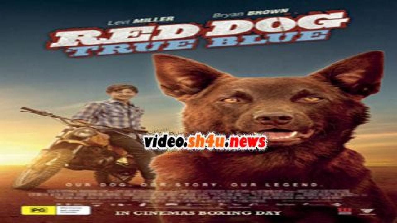 فيلم Red Dog True Blue 2016 مترجم - HD