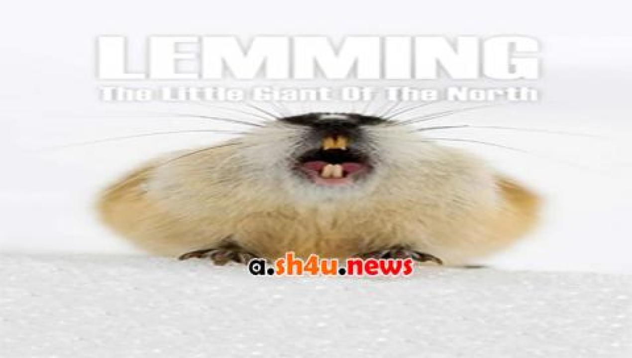 فيلم Lemming the little giant of the North 2017 مترجم - HD