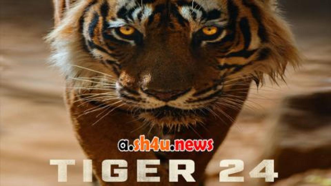 فيلم Tiger 24 2022 مترجم - HD