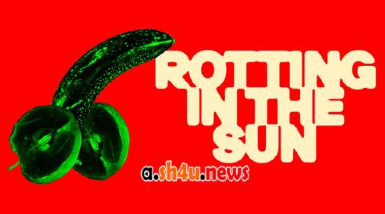 فيلم Rotting in the Sun 2023 مترجم - HD