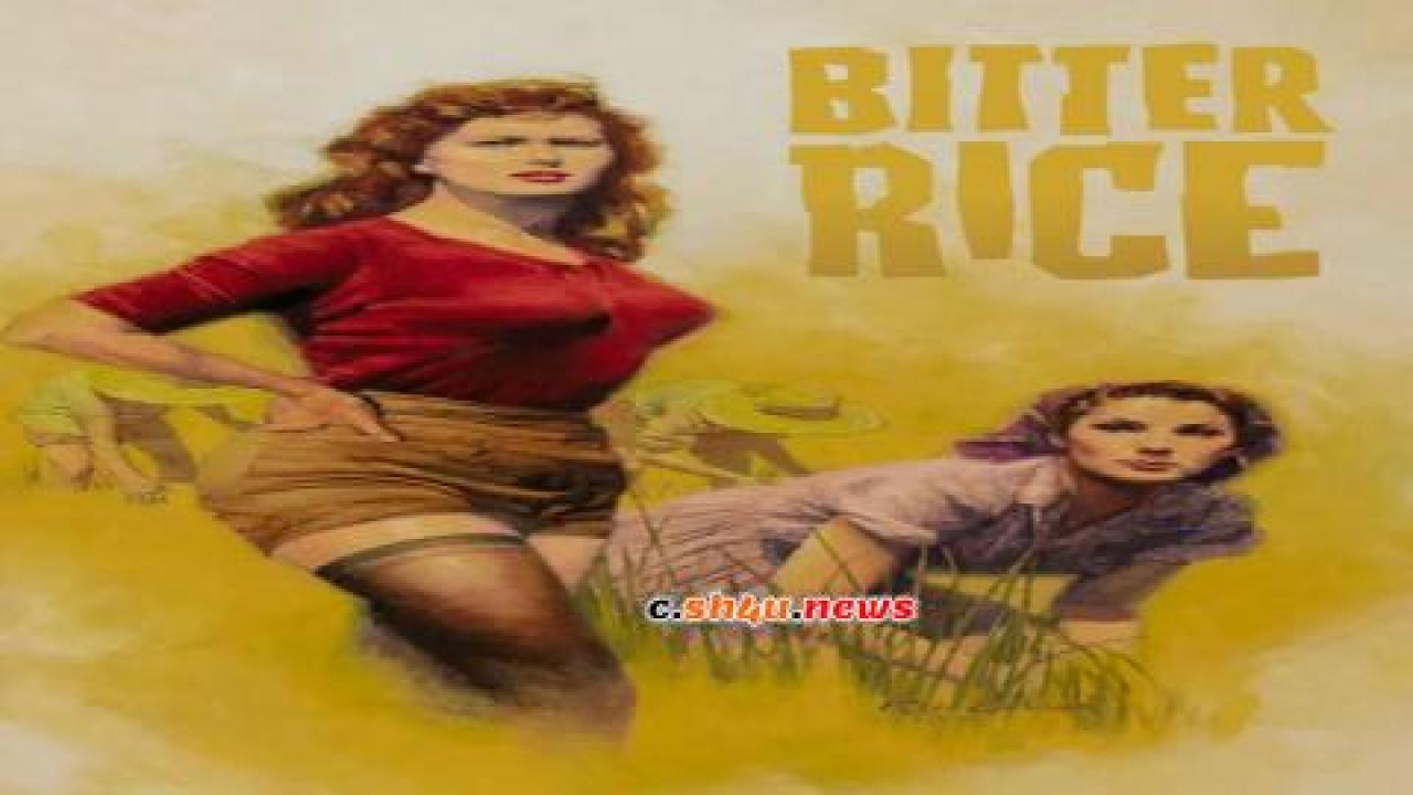 فيلم Bitter Rice 1949 مترجم - HD