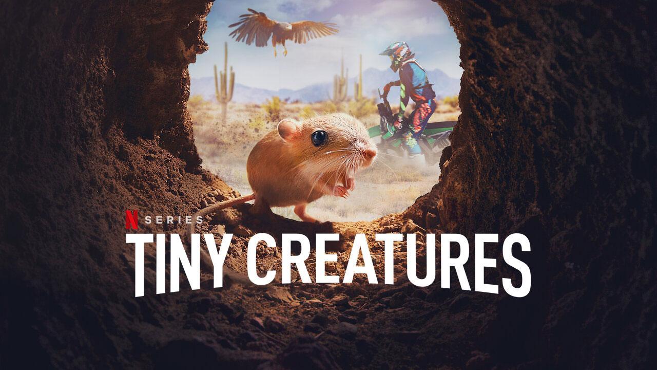 مسلسل Tiny Creatures جميع المواسم اون لاين