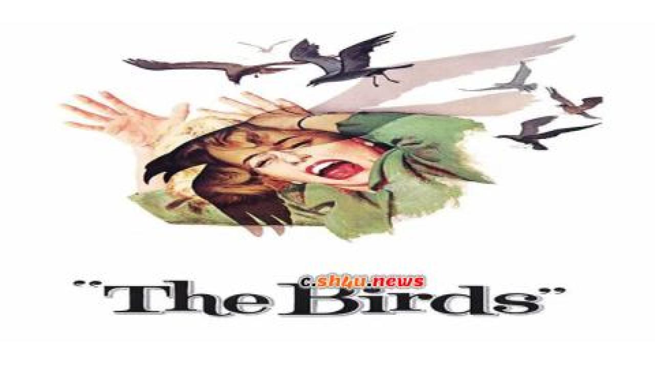 فيلم The Birds 1963 مترجم - HD