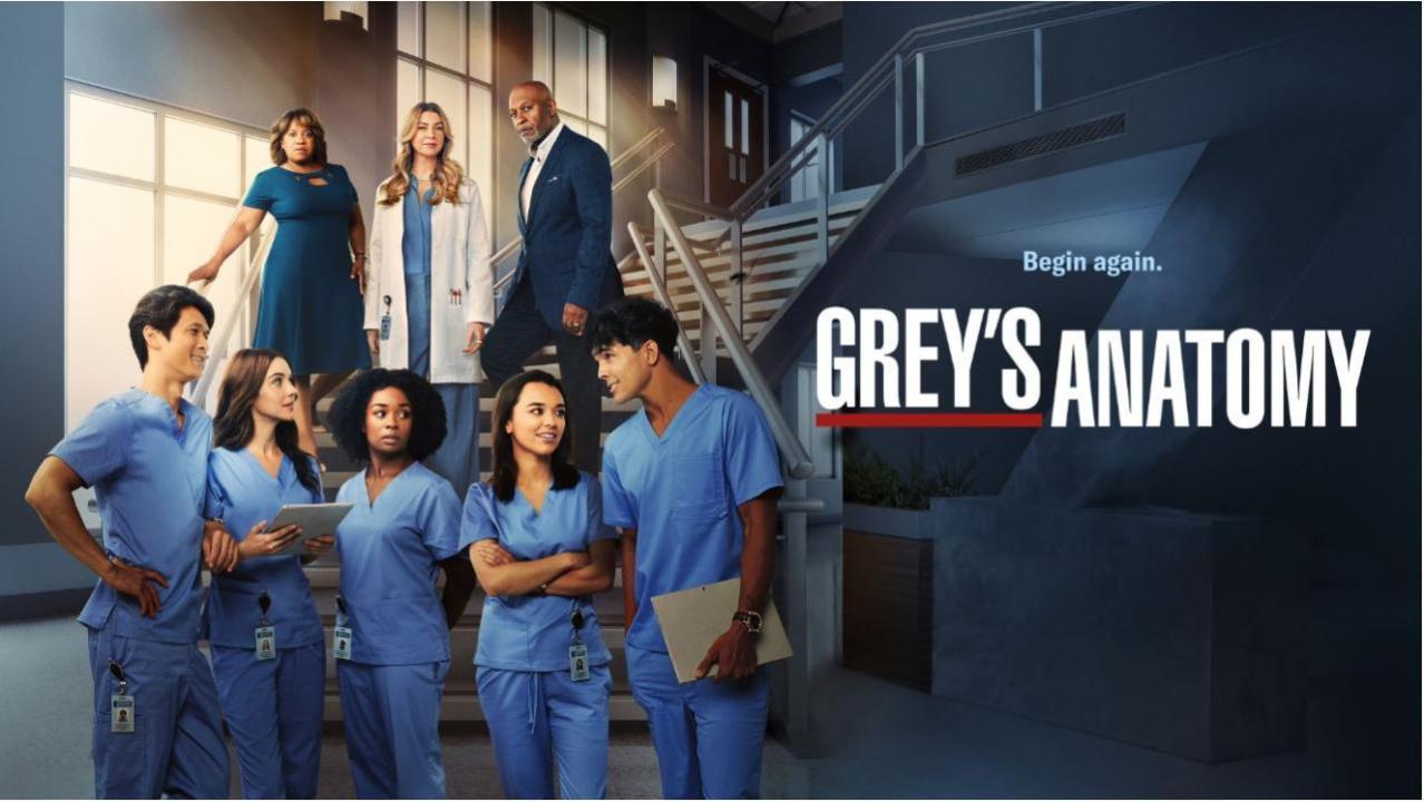 Grey's Anatomy S19