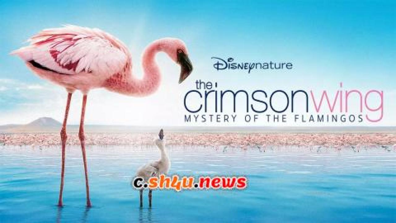 فيلم The Crimson Wing: Mystery of the Flamingos 2008 مترجم - HD