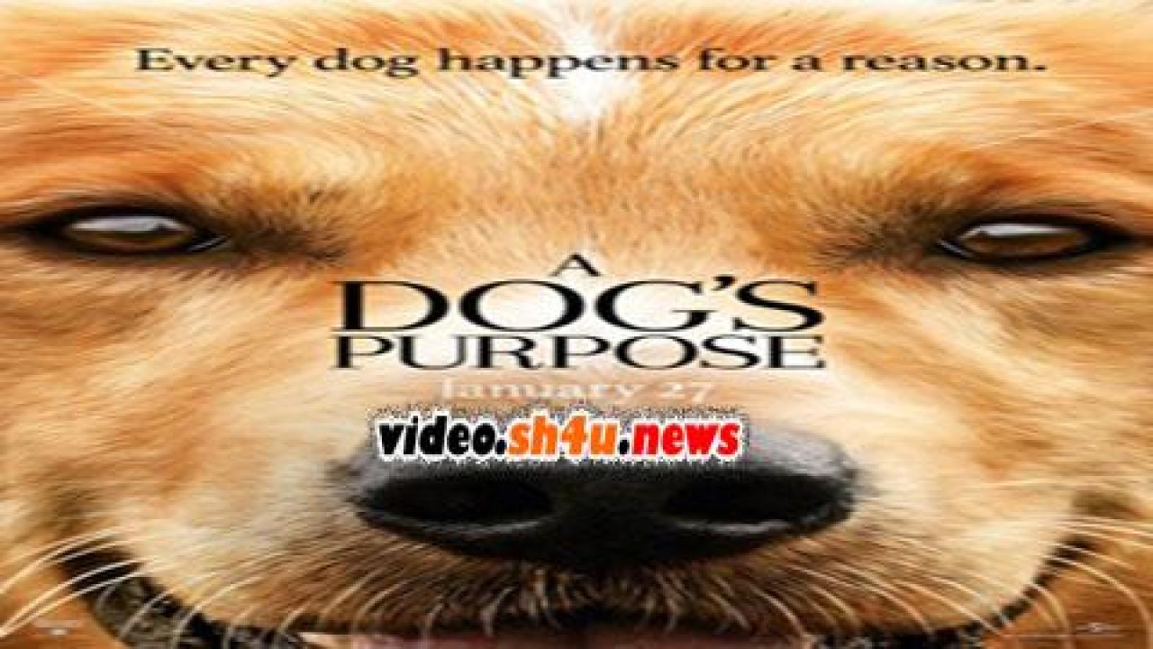فيلم A Dog's Purpose 2017 مترجم - HD