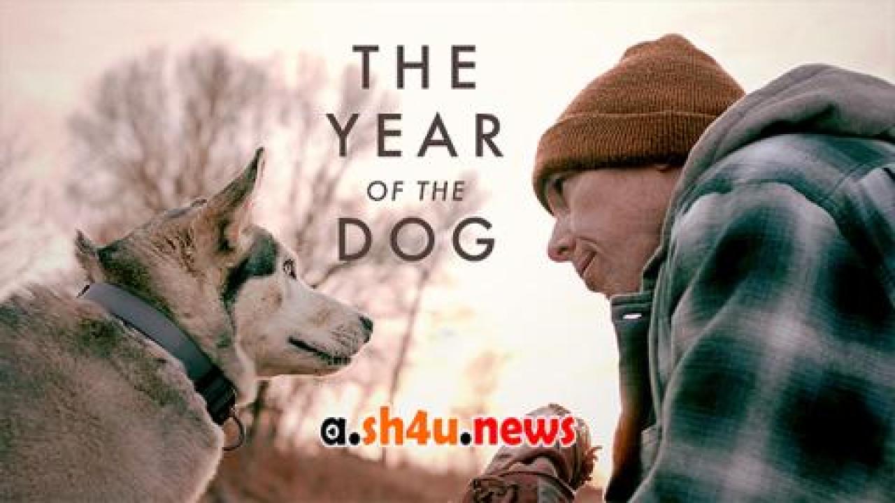 فيلم The Year of the Dog 2022 مترجم - HD