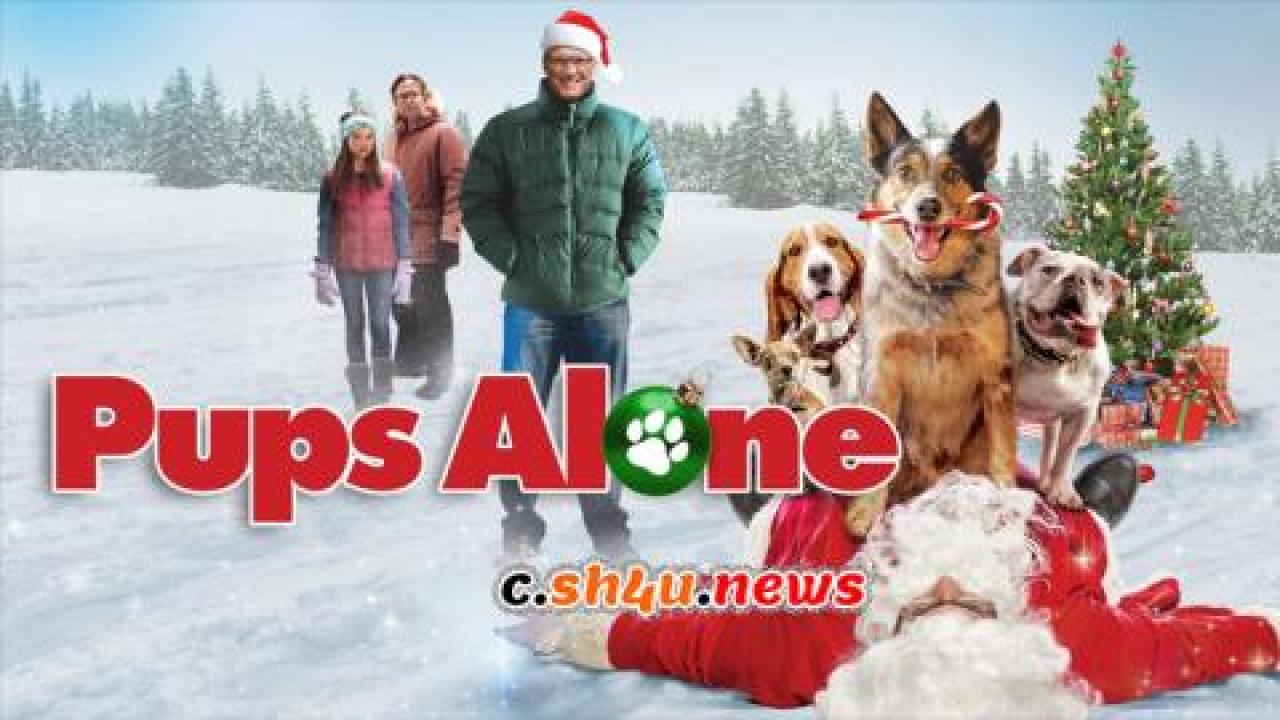 فيلم Pups Alone 2021 مترجم - HD