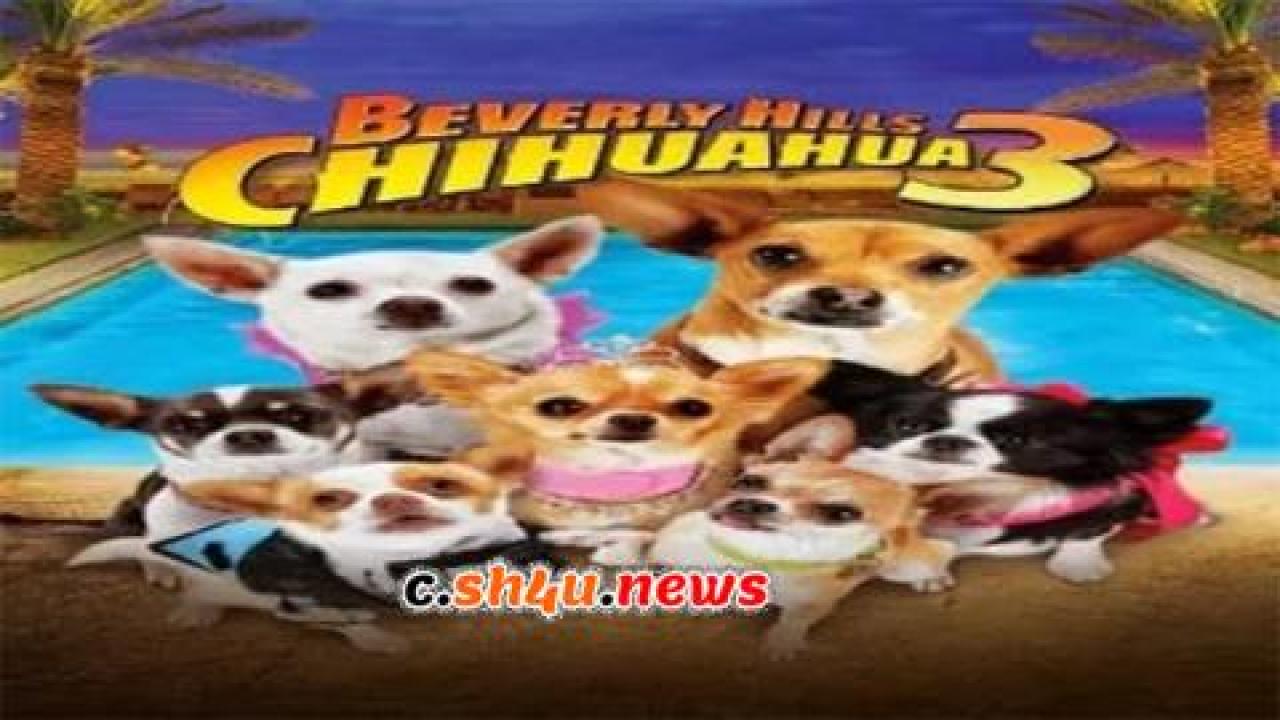 فيلم Beverly Hills Chihuahua 3: Viva la Fiesta! 2012 مترجم - HD
