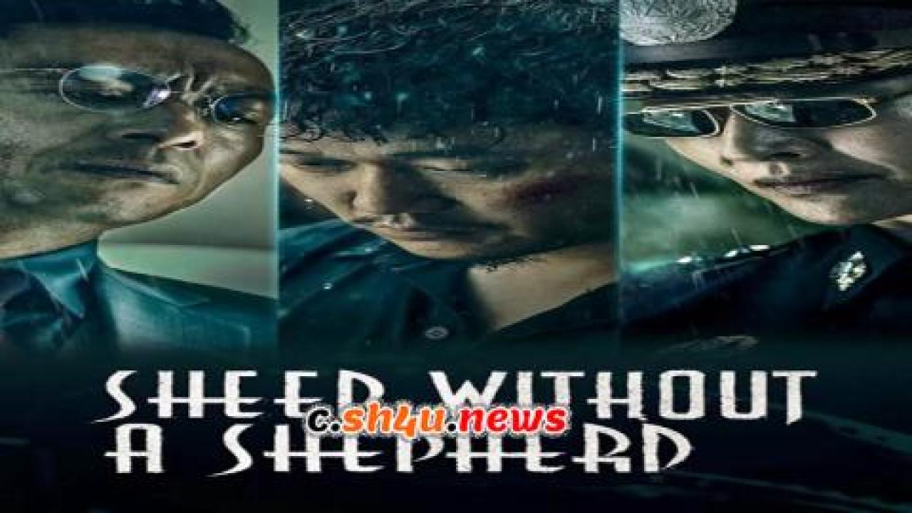 فيلم Sheep Without a Shepherd 2019 مترجم - HD