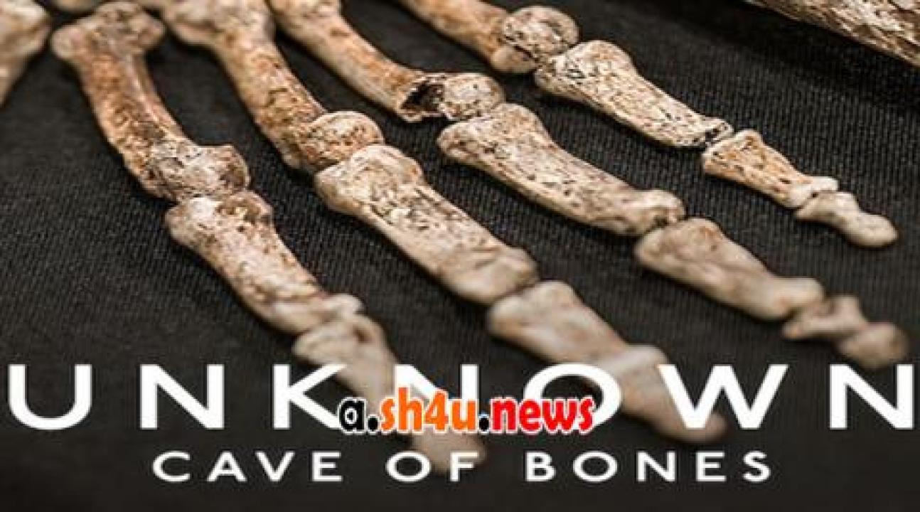 فيلم Unknown: Cave of Bones 2023 مترجم - HD