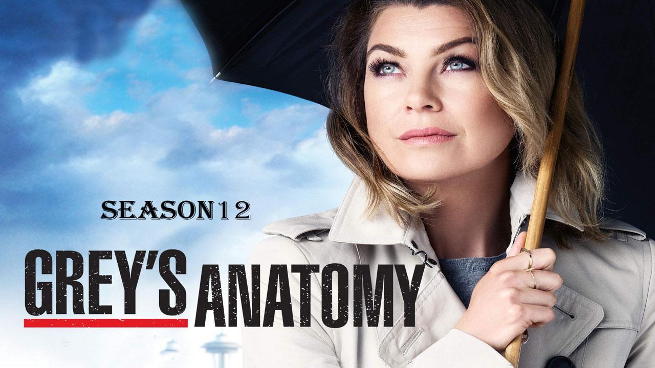 Grey's Anatomy S12