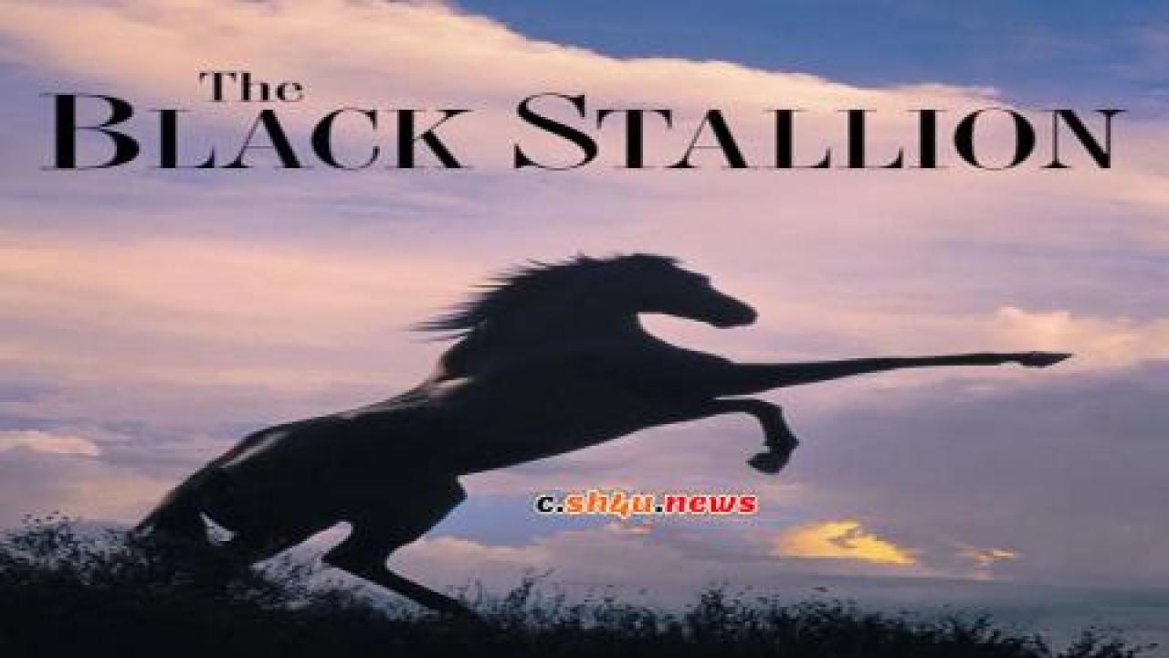 فيلم The Black Stallion 1979 مترجم - HD