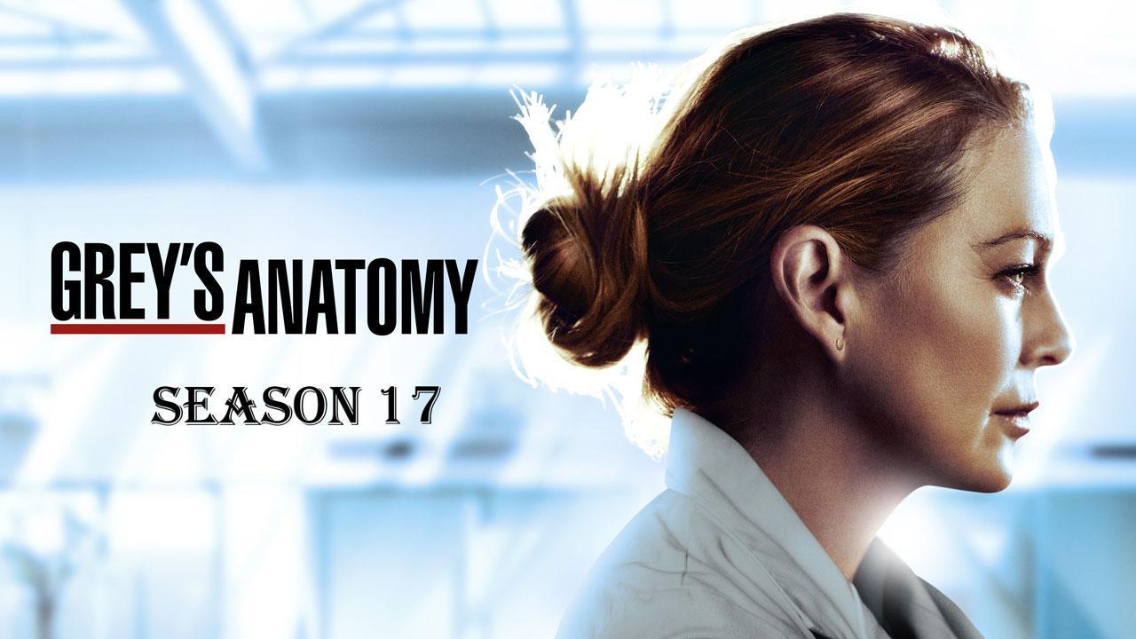 Grey's Anatomy S17