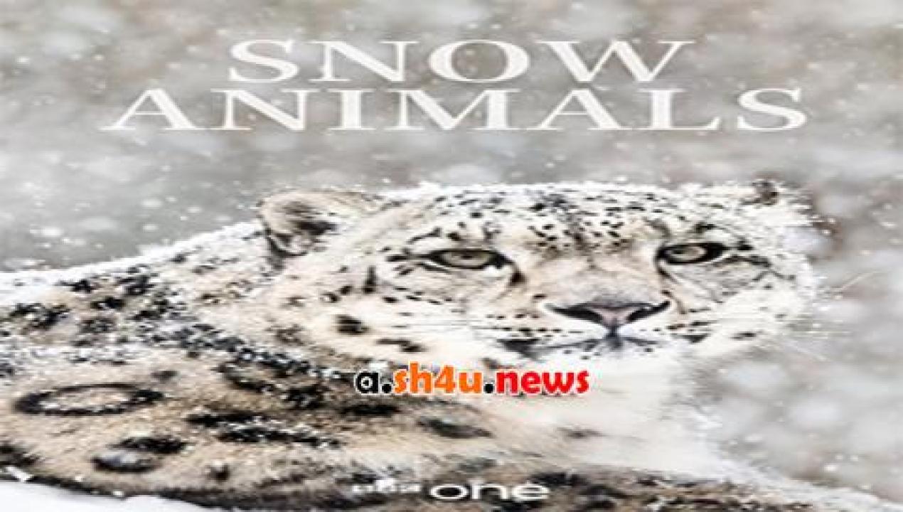فيلم Snow Animals 2019 مترجم - HD