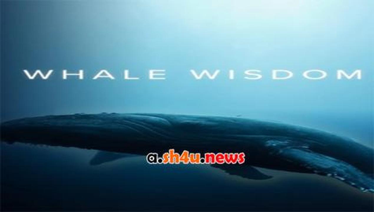 فيلم Whale Wisdom 2019 مترجم - HD