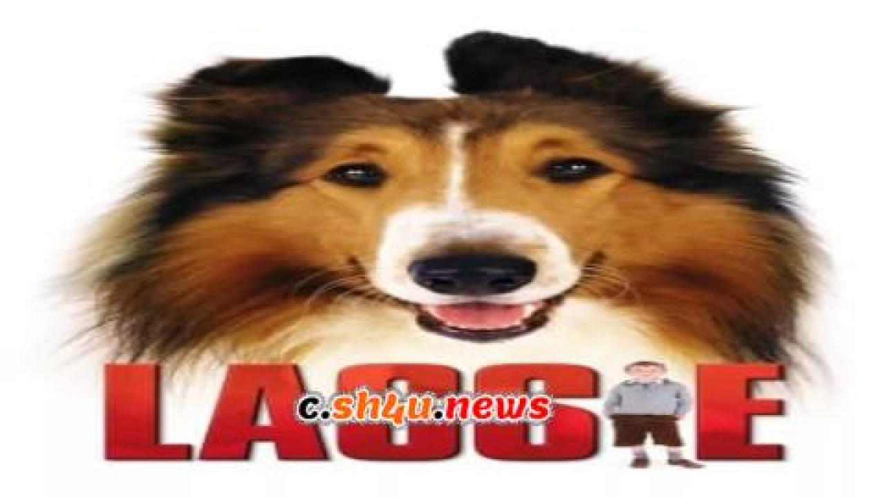 فيلم Lassie 2005 مترجم - HD