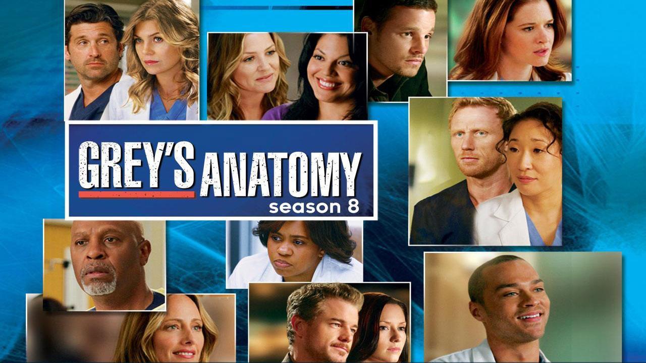 Grey's Anatomy S08