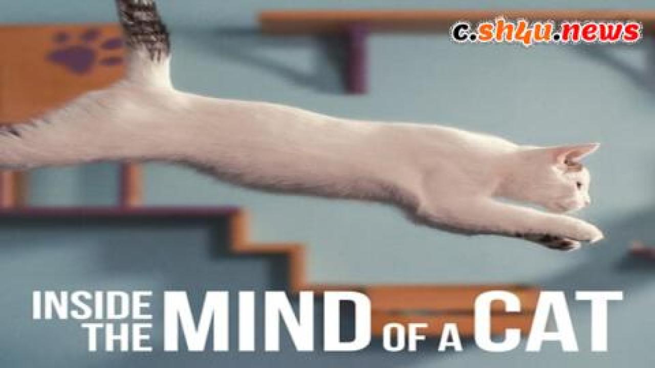 فيلم Inside the Mind of a Cat 2022 مترجم - HD