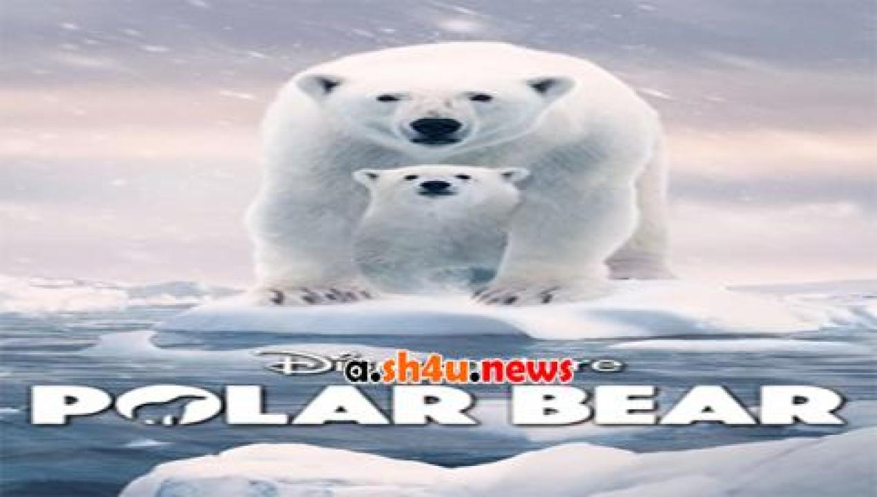 فيلم polar bear 2022 مترجم - HD