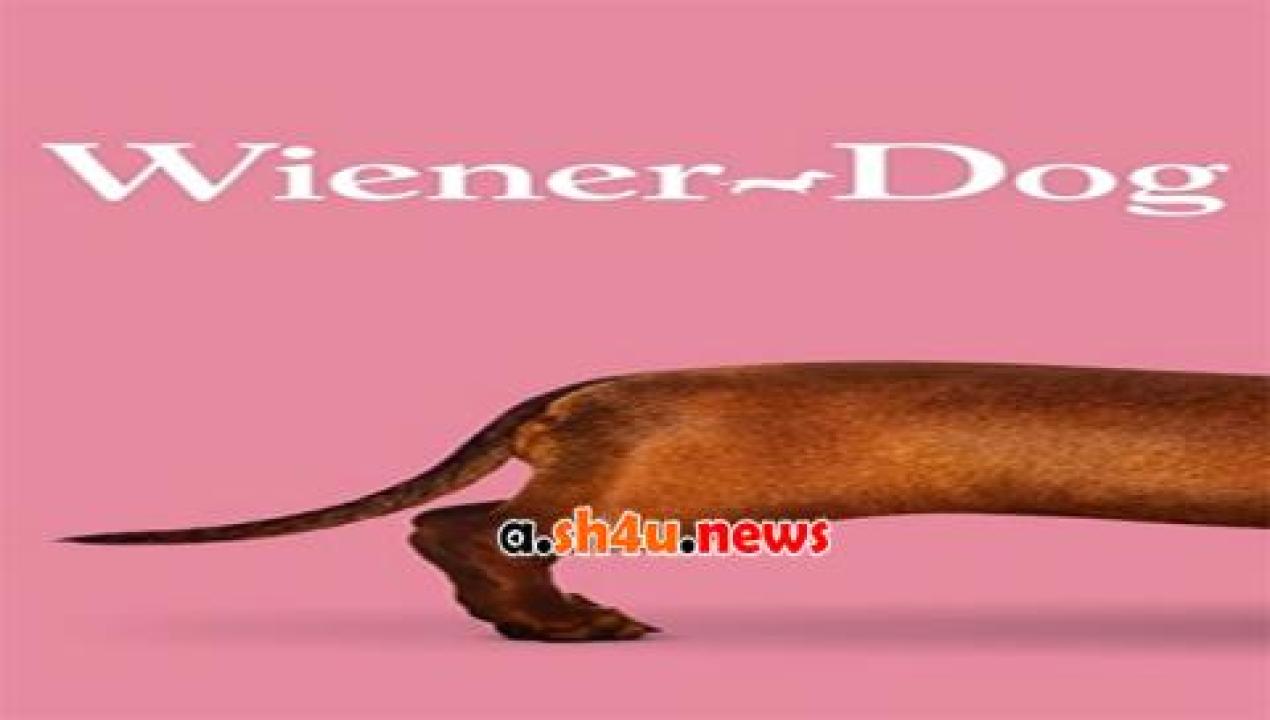 فيلم Wiener-Dog 2016 مترجم - HD