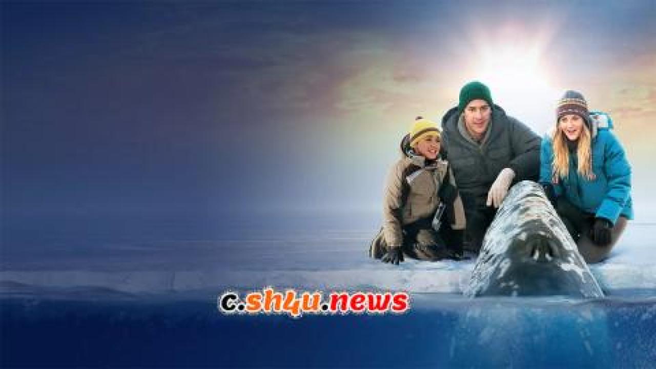 فيلم Big Miracle 2012 مترجم - HD