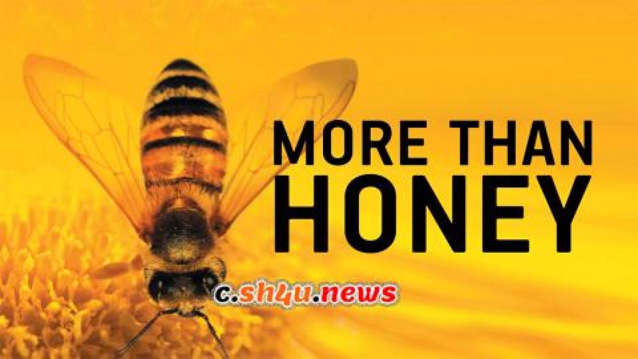 فيلم More Than Honey 2012 مترجم - HD