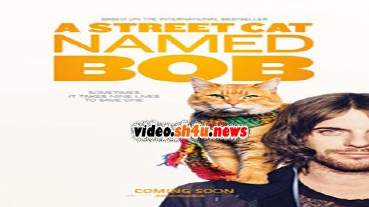 فيلم A Street Cat Named Bob 2016 مترجم - HD