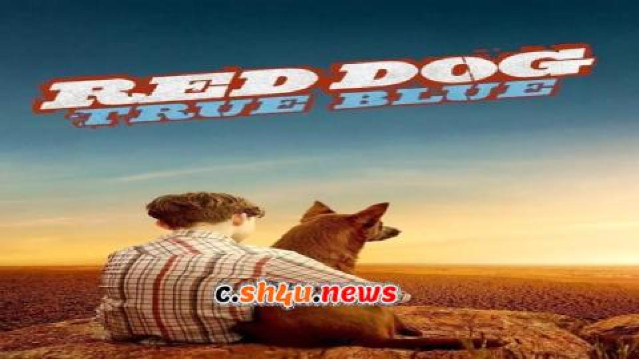 فيلم Red Dog: True Blue 2016 مترجم - HD