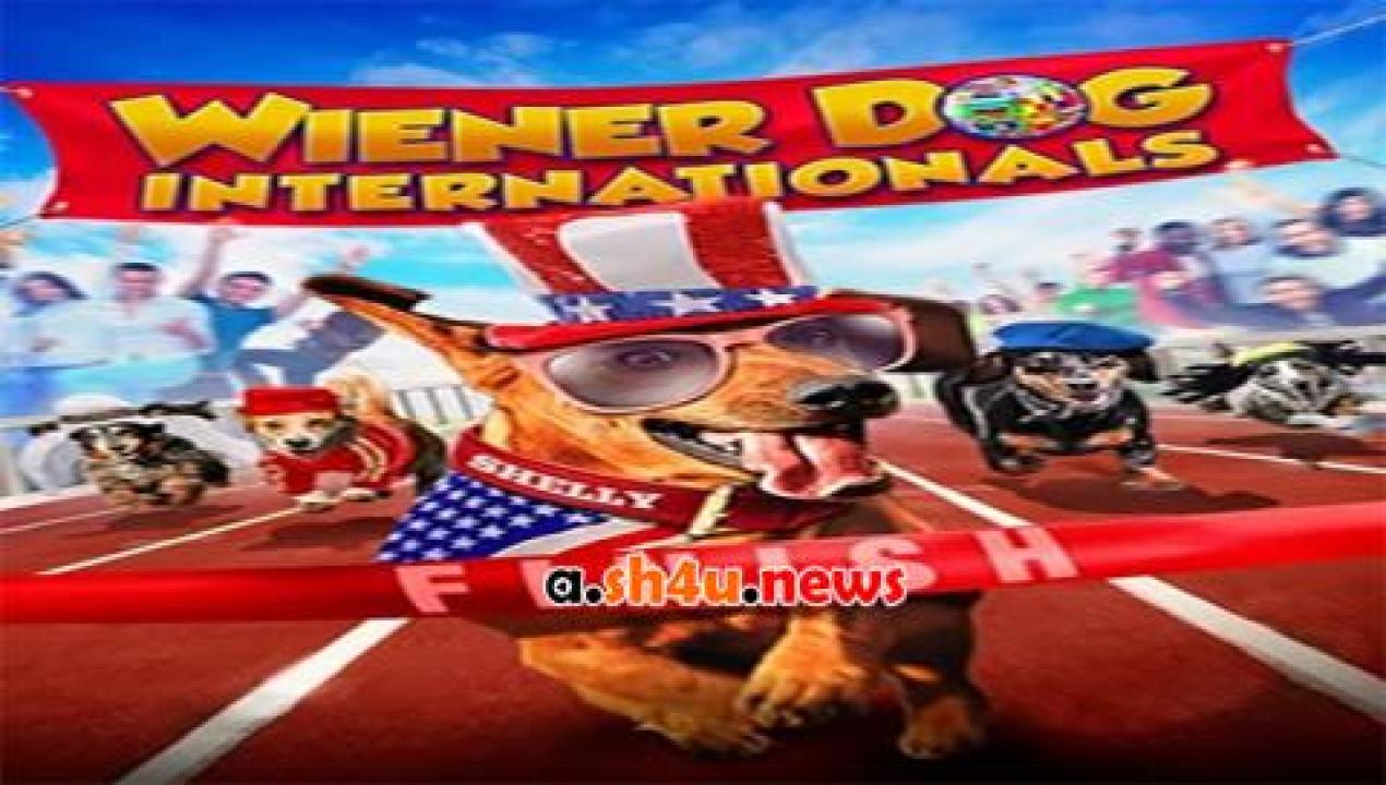 فيلم Wiener Dog Internationals 2015 مترجم - HD
