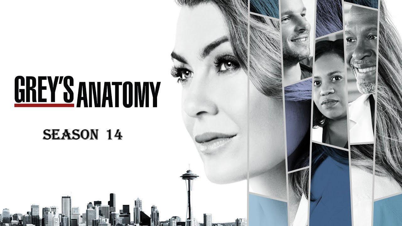 Grey's Anatomy S14