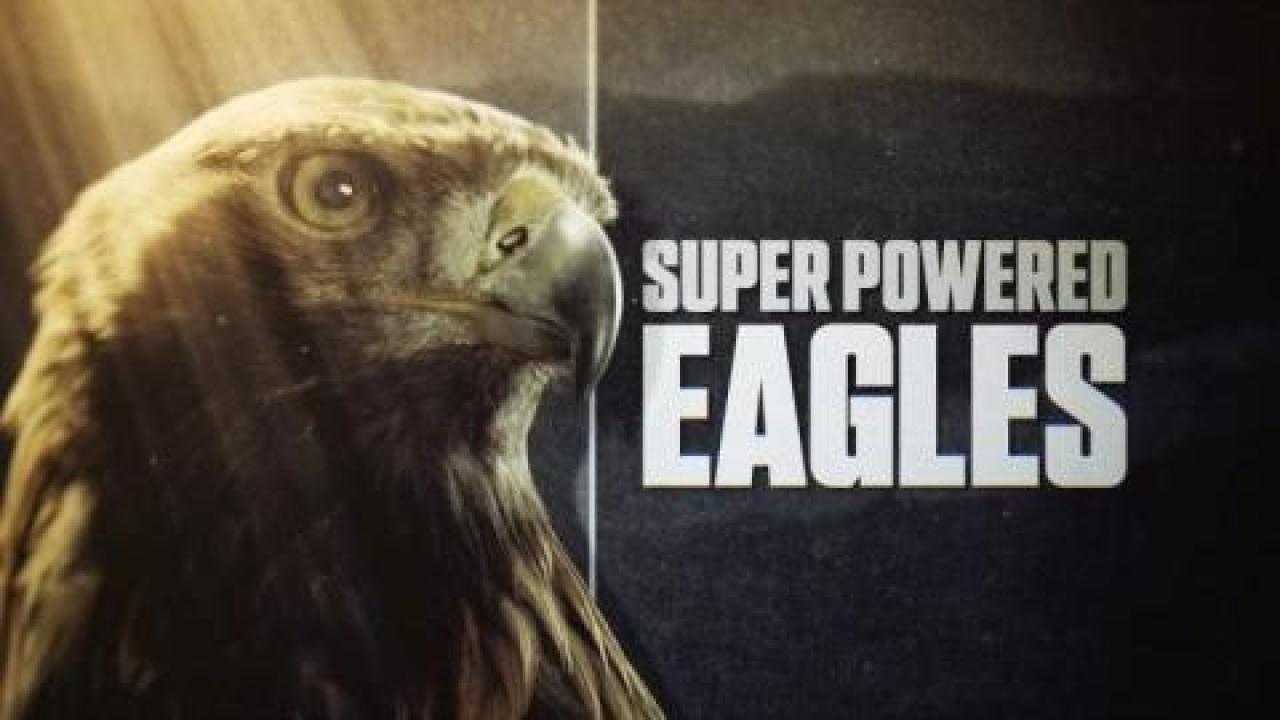 فيلم Super Powered Eagles 2020 مترجم - HD