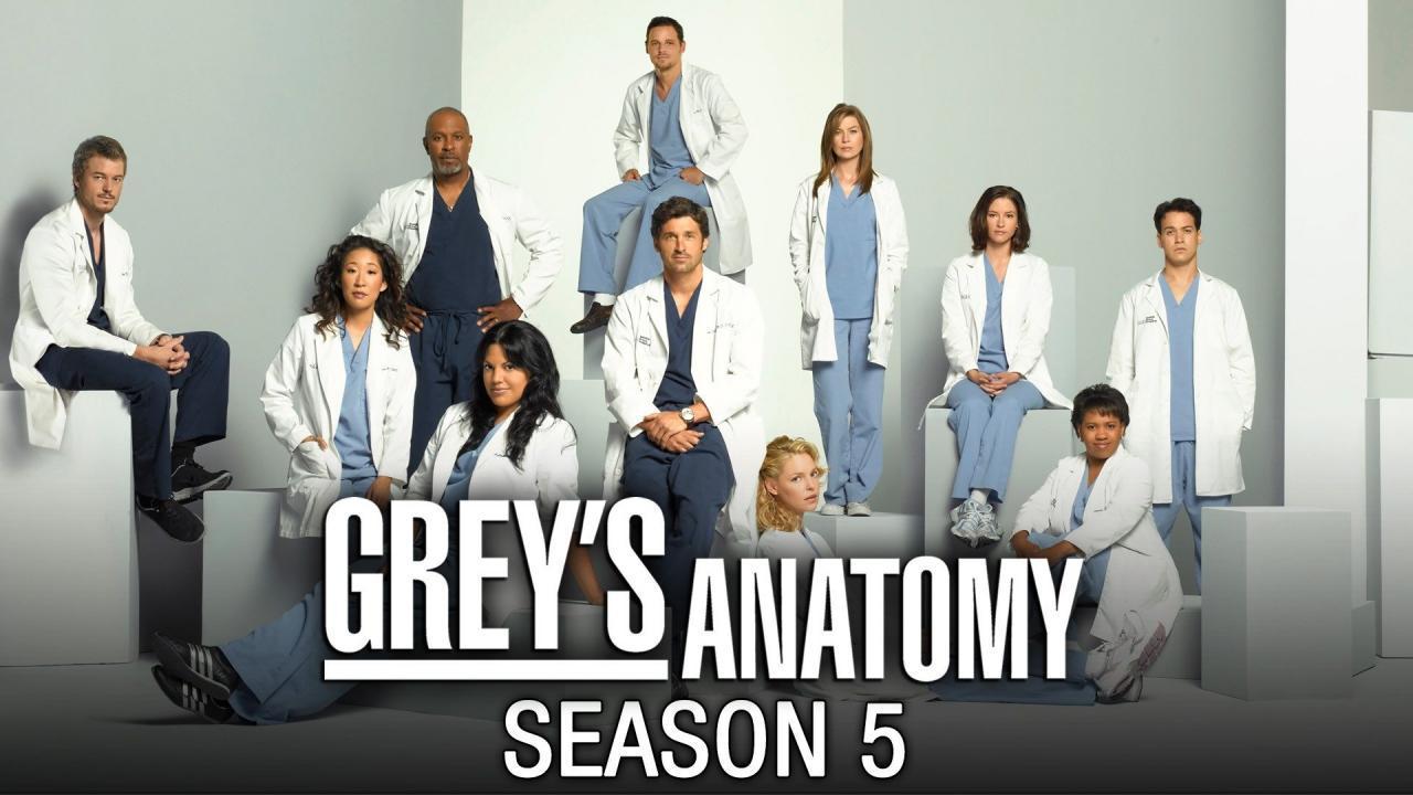 Grey's Anatomy S05