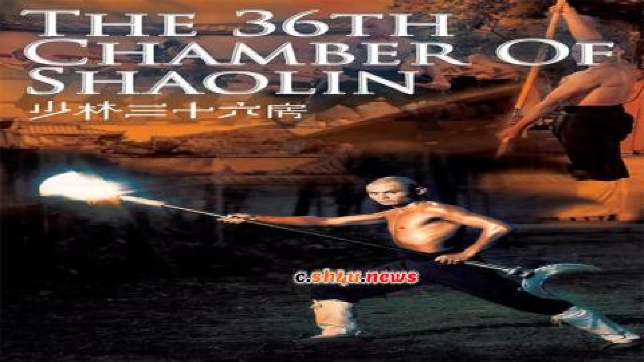 فيلم The 36th Chamber of Shaolin 1978 مترجم - HD