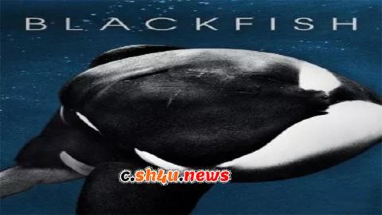 فيلم Blackfish 2013 مترجم - HD