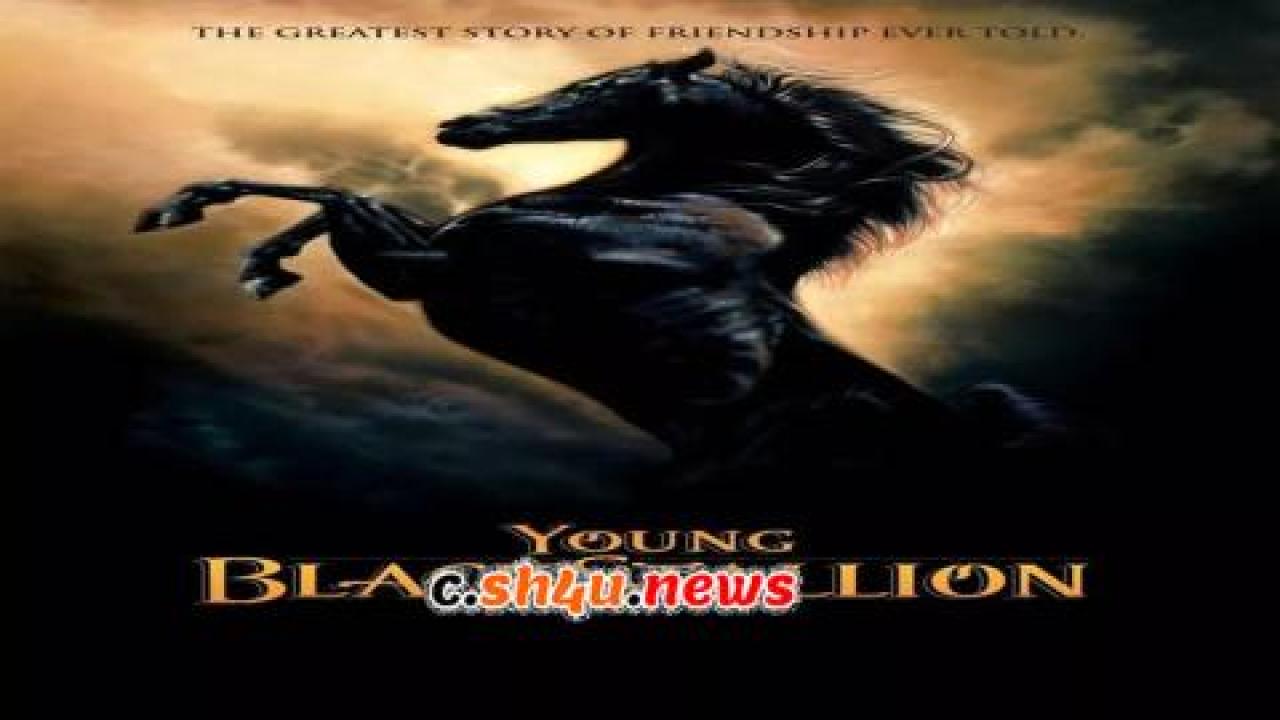 فيلم Young Black Stallion 2003 مترجم - HD