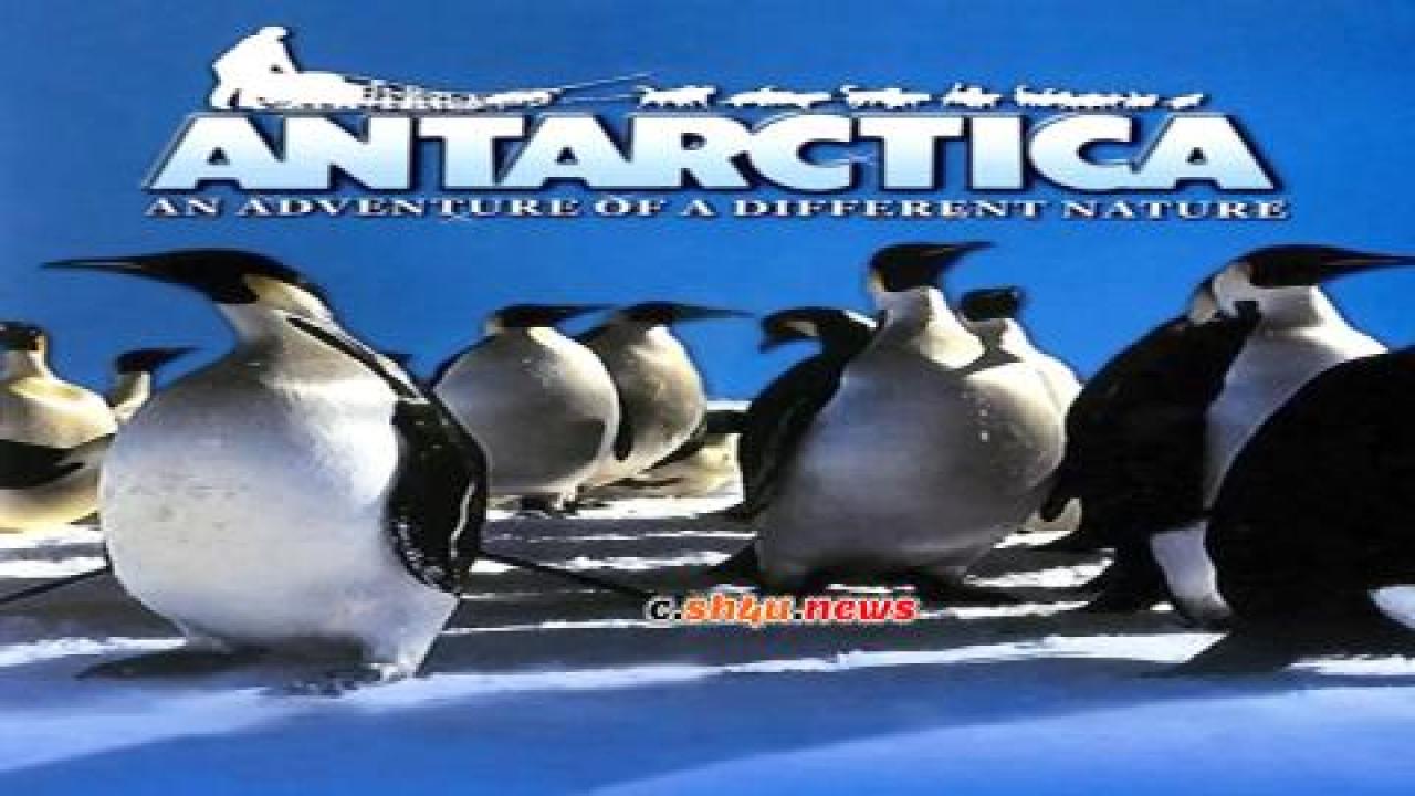 فيلم Antarctica 1991 مترجم - HD