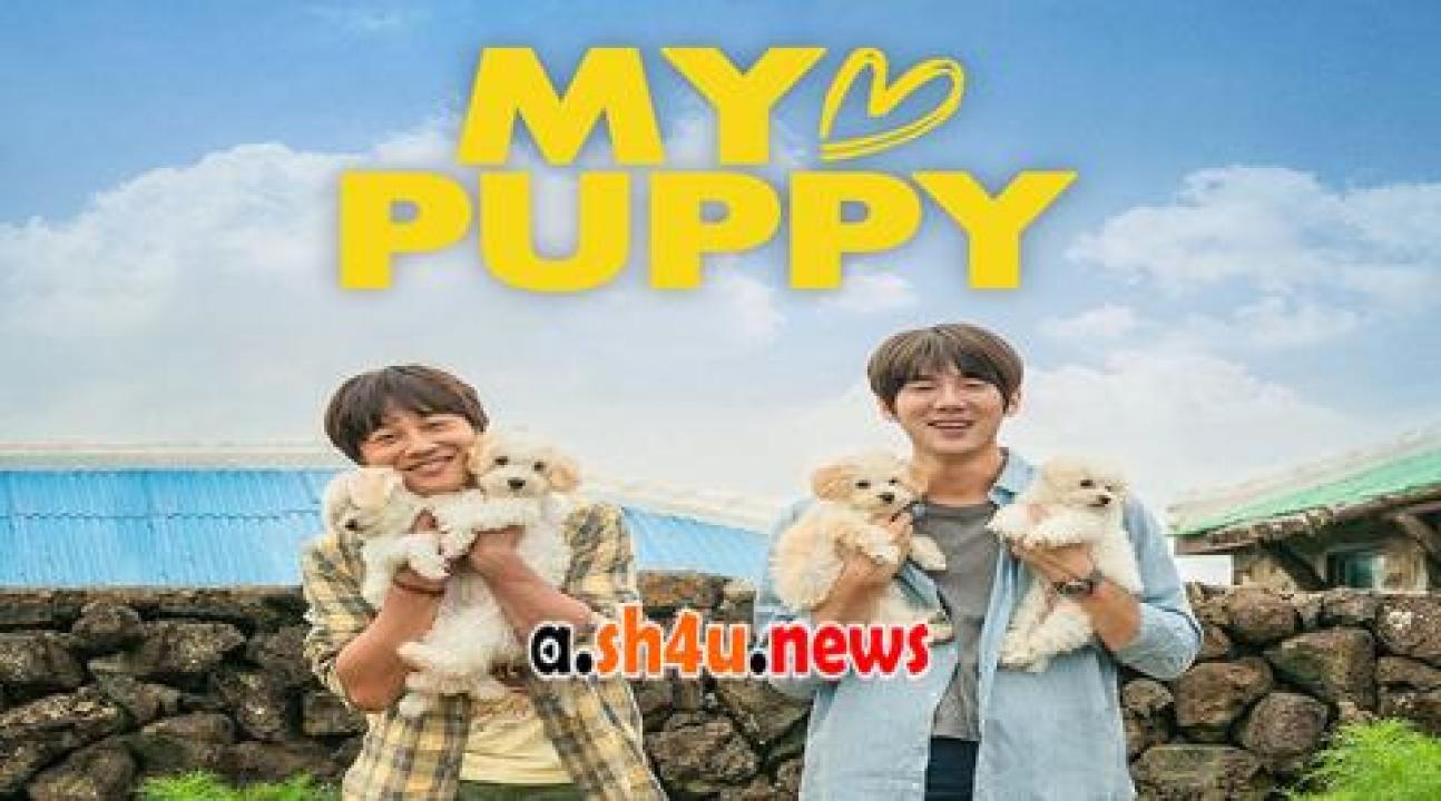 فيلم My Heart Puppy 2023 مترجم - HD